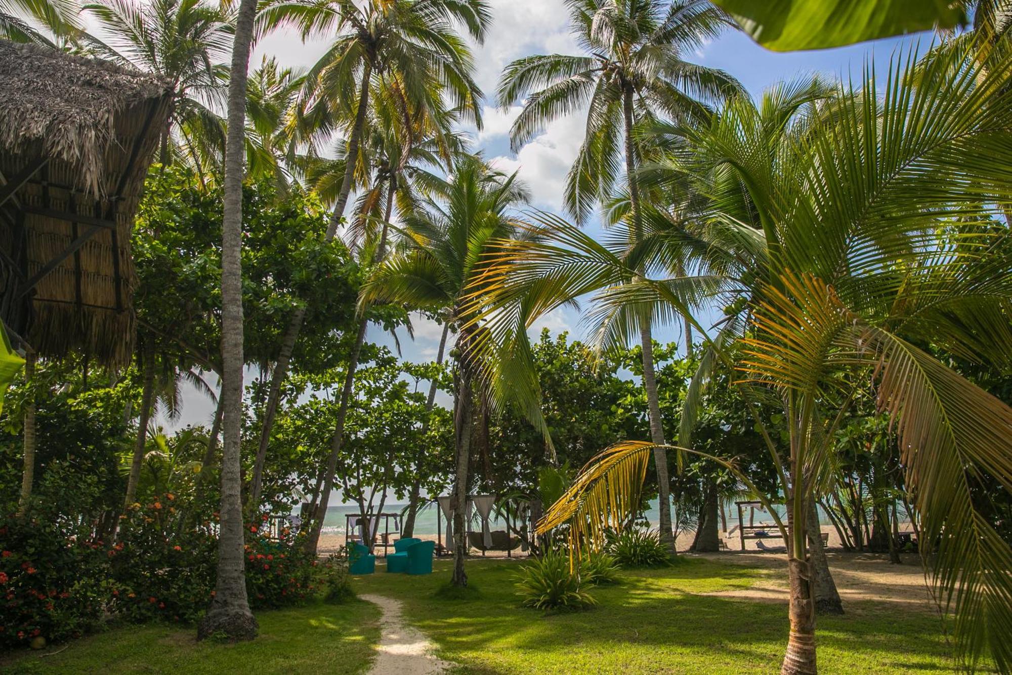 Sublime Ecohotel - Tayrona Palomino Extérieur photo