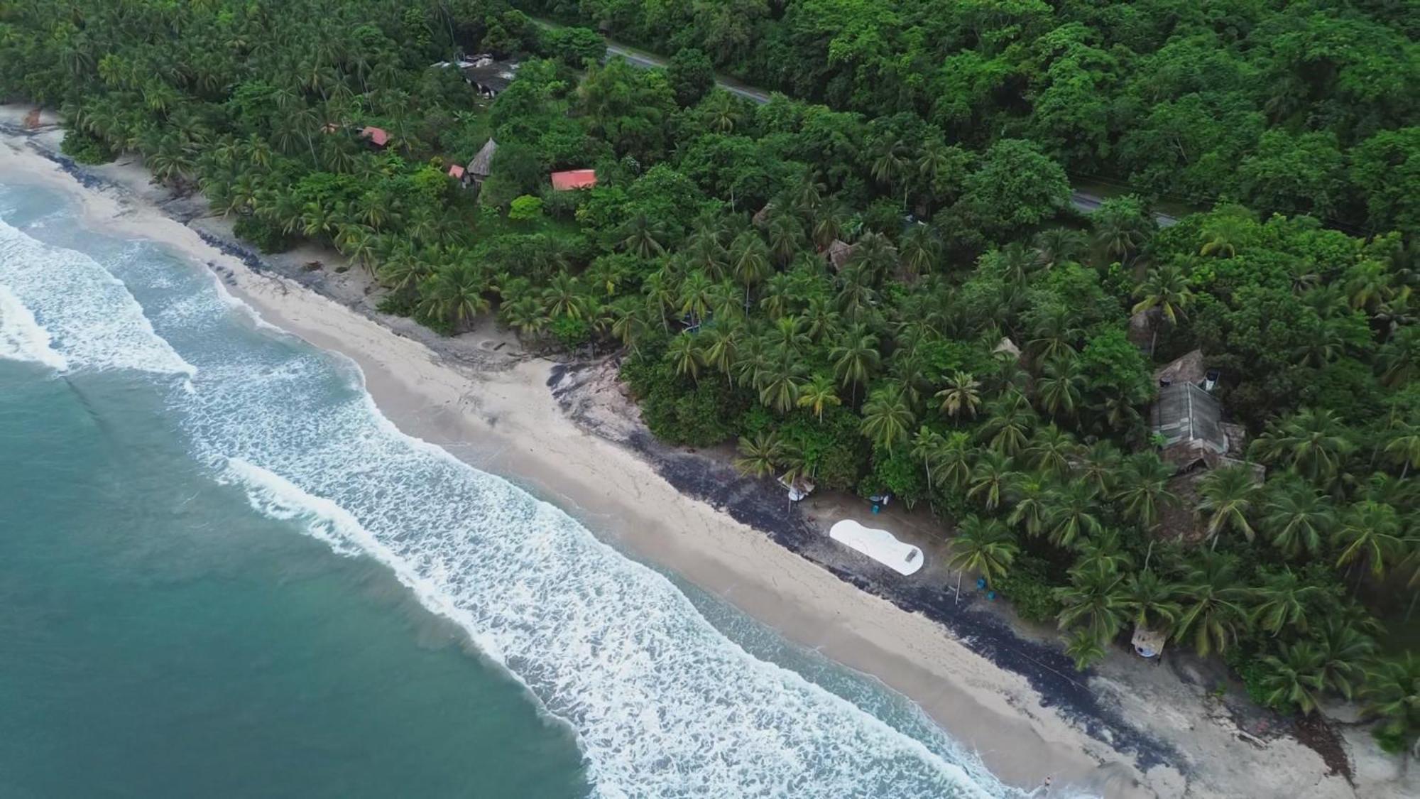 Sublime Ecohotel - Tayrona Palomino Extérieur photo